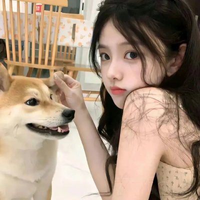 狐狸躲进洞 在线观看